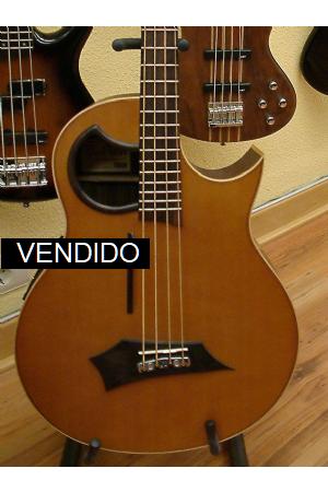 Warwick Alien Acoustic Warwick Alien Acoustic